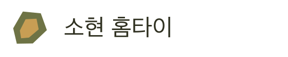 소현 홈타이